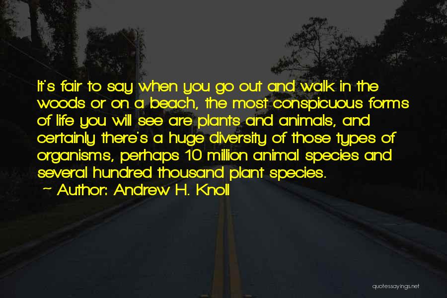 Andrew H. Knoll Quotes: It's Fair To Say When You Go Out And Walk In The Woods Or On A Beach, The Most Conspicuous