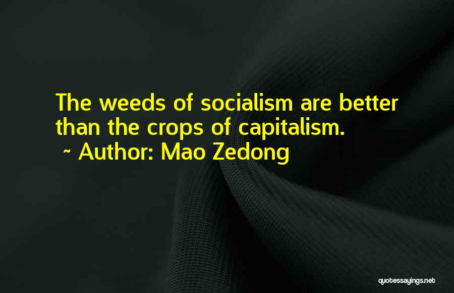 Mao Zedong Quotes: The Weeds Of Socialism Are Better Than The Crops Of Capitalism.