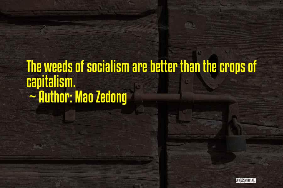 Mao Zedong Quotes: The Weeds Of Socialism Are Better Than The Crops Of Capitalism.