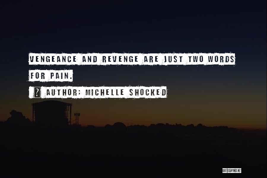 Michelle Shocked Quotes: Vengeance And Revenge Are Just Two Words For Pain.