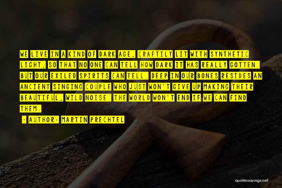 Martin Prechtel Quotes: We Live In A Kind Of Dark Age, Craftily Lit With Synthetic Light, So That No One Can Tell How
