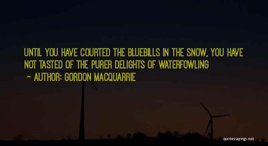 Gordon MacQuarrie Quotes: Until You Have Courted The Bluebills In The Snow, You Have Not Tasted Of The Purer Delights Of Waterfowling