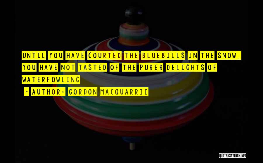 Gordon MacQuarrie Quotes: Until You Have Courted The Bluebills In The Snow, You Have Not Tasted Of The Purer Delights Of Waterfowling