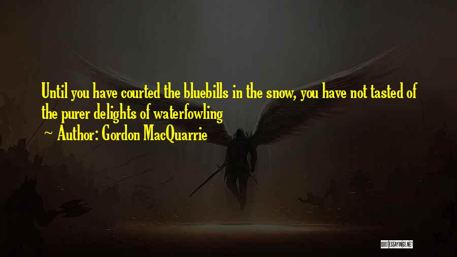 Gordon MacQuarrie Quotes: Until You Have Courted The Bluebills In The Snow, You Have Not Tasted Of The Purer Delights Of Waterfowling