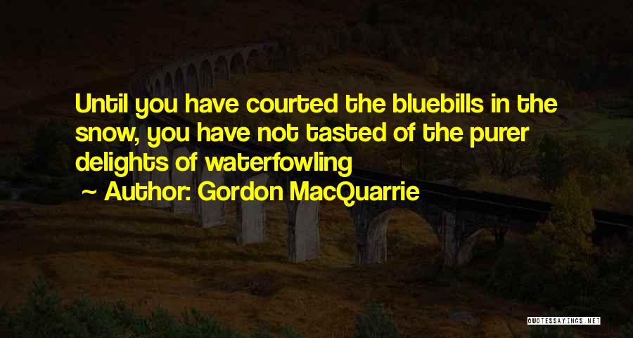 Gordon MacQuarrie Quotes: Until You Have Courted The Bluebills In The Snow, You Have Not Tasted Of The Purer Delights Of Waterfowling