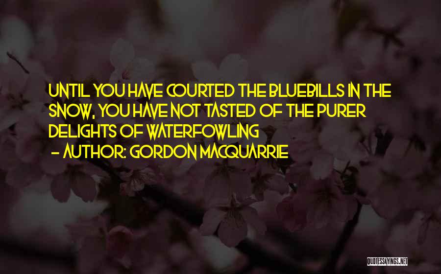 Gordon MacQuarrie Quotes: Until You Have Courted The Bluebills In The Snow, You Have Not Tasted Of The Purer Delights Of Waterfowling