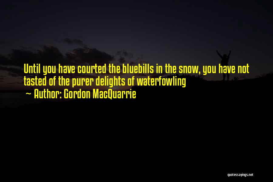 Gordon MacQuarrie Quotes: Until You Have Courted The Bluebills In The Snow, You Have Not Tasted Of The Purer Delights Of Waterfowling