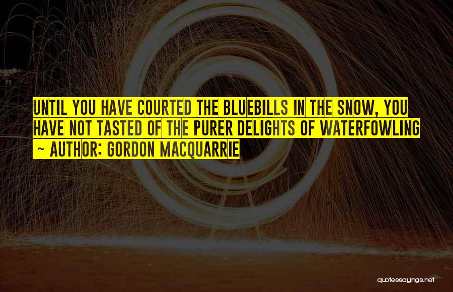 Gordon MacQuarrie Quotes: Until You Have Courted The Bluebills In The Snow, You Have Not Tasted Of The Purer Delights Of Waterfowling