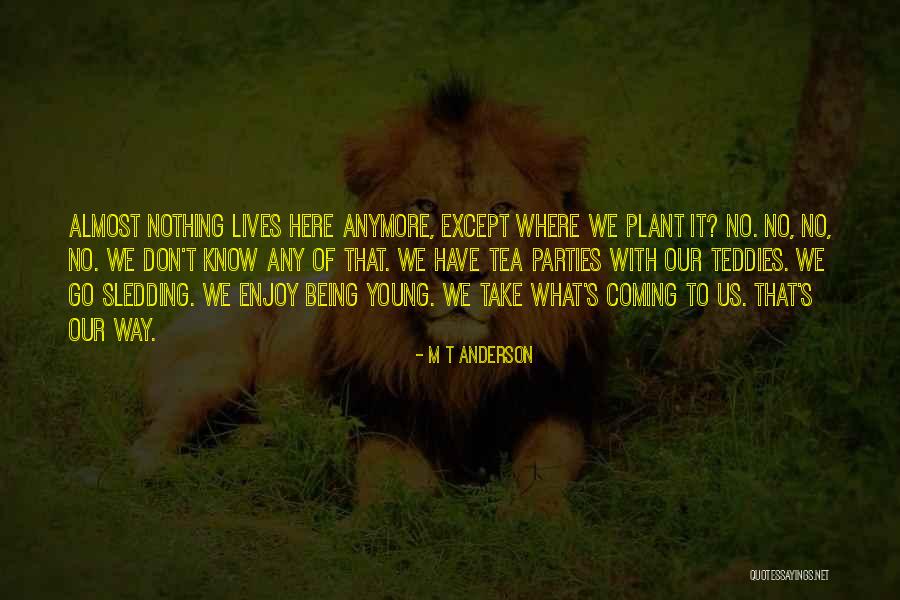 13 In Tires Quotes By M T Anderson 13 In Tires Quotes By M T Anderson