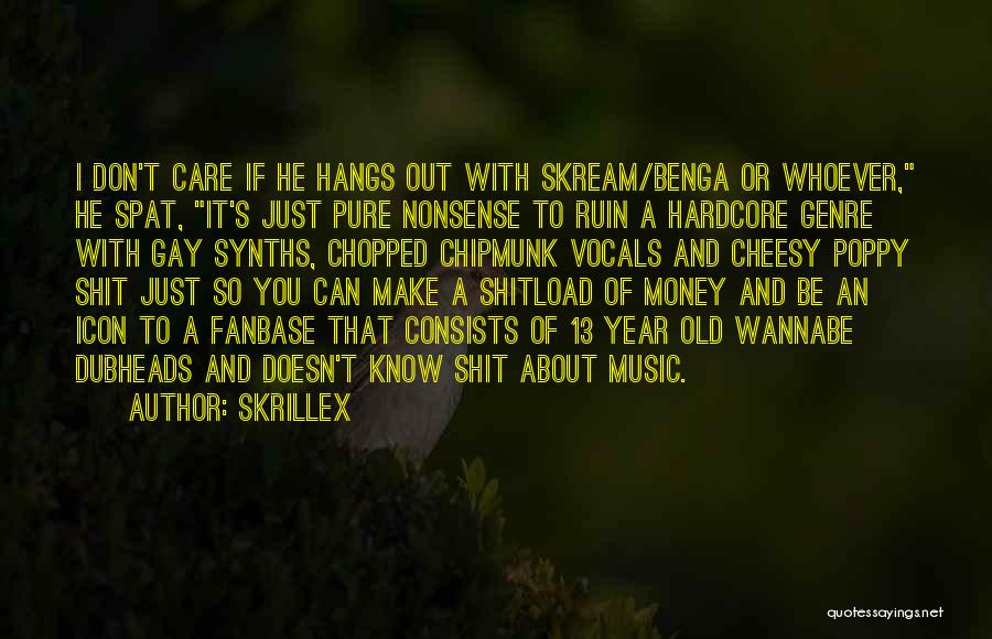 13 Year Old Quotes By Skrillex