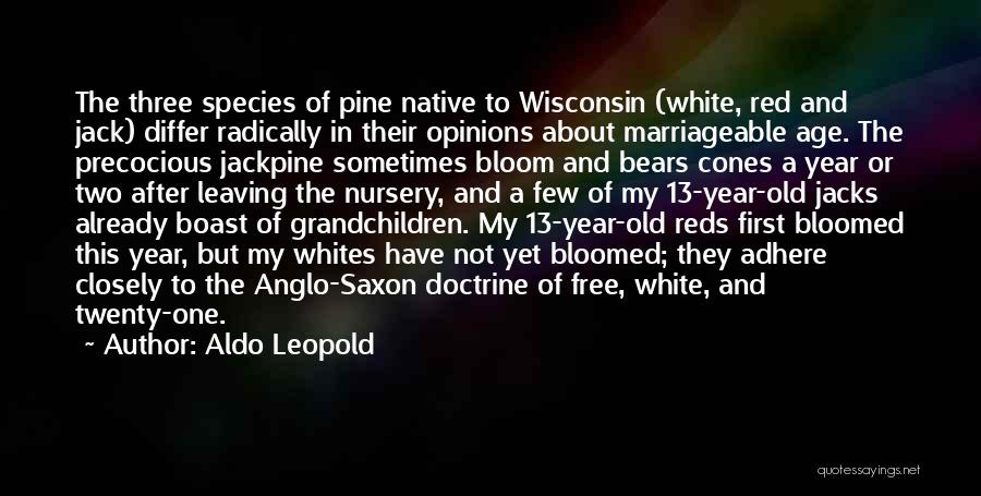 Aldo Leopold Quotes: The Three Species Of Pine Native To Wisconsin (white, Red And Jack) Differ Radically In Their Opinions About Marriageable Age.