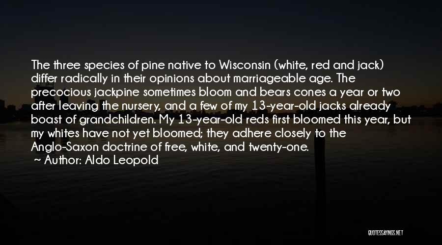 Aldo Leopold Quotes: The Three Species Of Pine Native To Wisconsin (white, Red And Jack) Differ Radically In Their Opinions About Marriageable Age.
