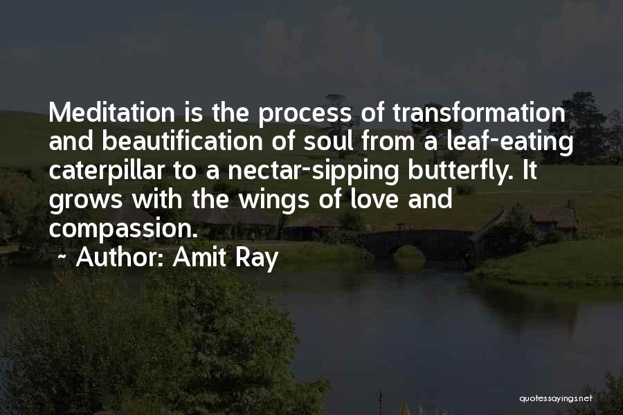 Amit Ray Quotes: Meditation Is The Process Of Transformation And Beautification Of Soul From A Leaf-eating Caterpillar To A Nectar-sipping Butterfly. It Grows