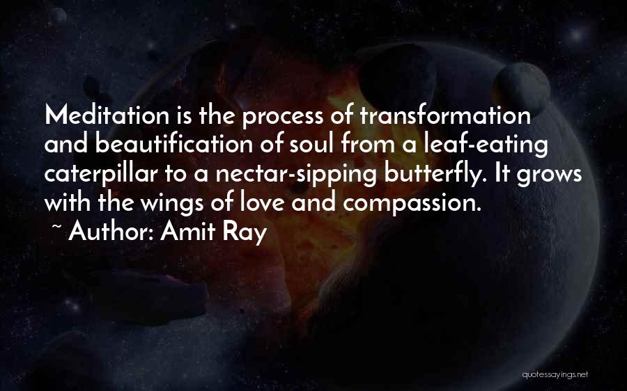 Amit Ray Quotes: Meditation Is The Process Of Transformation And Beautification Of Soul From A Leaf-eating Caterpillar To A Nectar-sipping Butterfly. It Grows