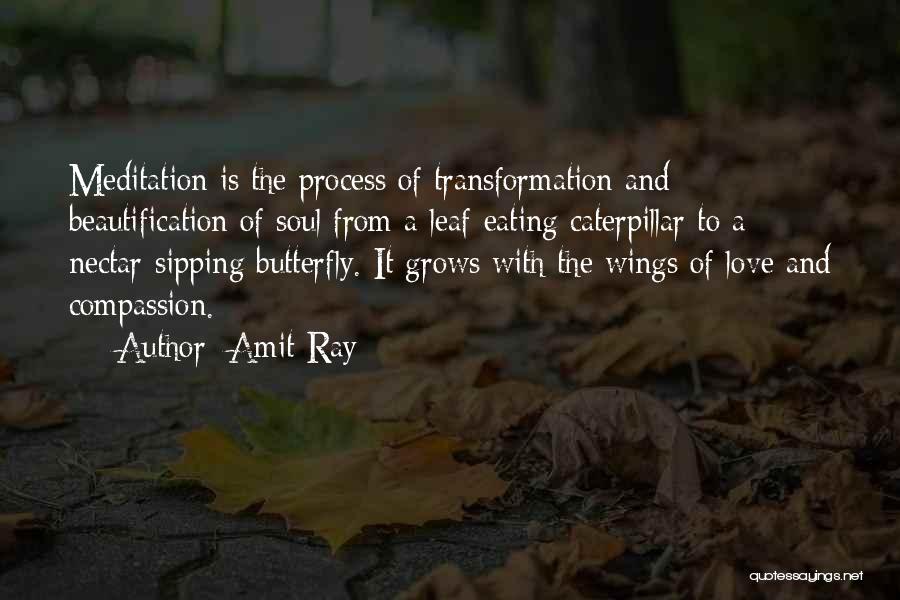 Amit Ray Quotes: Meditation Is The Process Of Transformation And Beautification Of Soul From A Leaf-eating Caterpillar To A Nectar-sipping Butterfly. It Grows