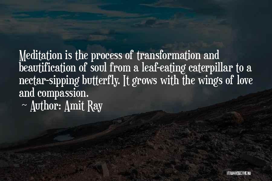 Amit Ray Quotes: Meditation Is The Process Of Transformation And Beautification Of Soul From A Leaf-eating Caterpillar To A Nectar-sipping Butterfly. It Grows