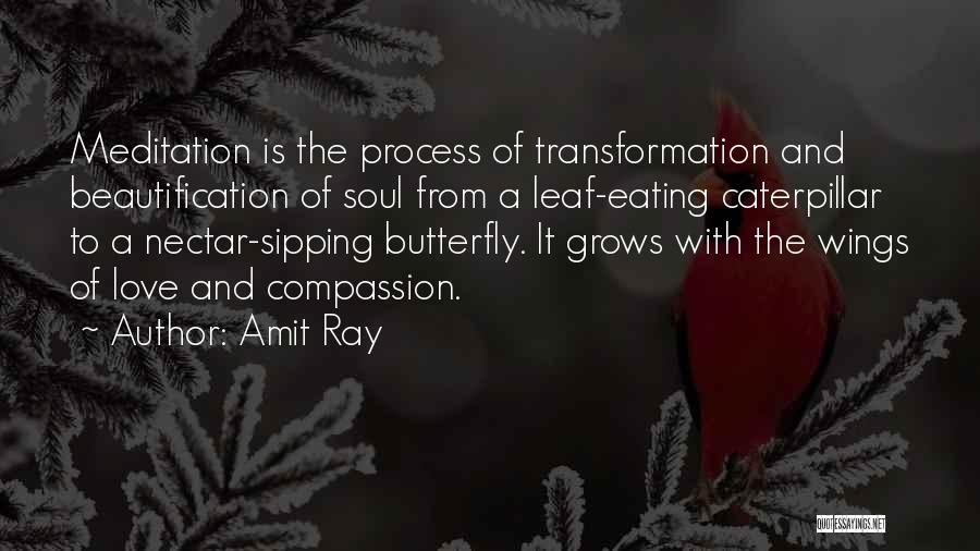 Amit Ray Quotes: Meditation Is The Process Of Transformation And Beautification Of Soul From A Leaf-eating Caterpillar To A Nectar-sipping Butterfly. It Grows