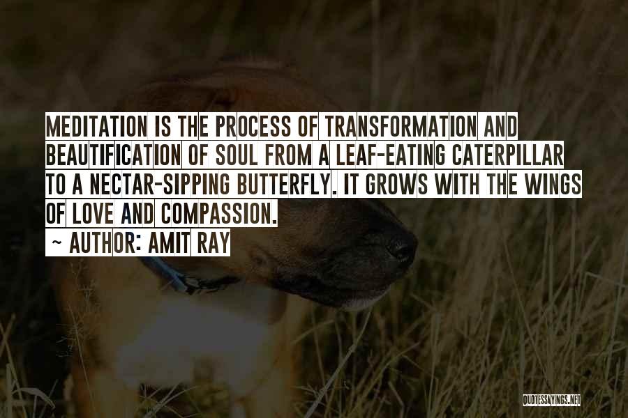 Amit Ray Quotes: Meditation Is The Process Of Transformation And Beautification Of Soul From A Leaf-eating Caterpillar To A Nectar-sipping Butterfly. It Grows