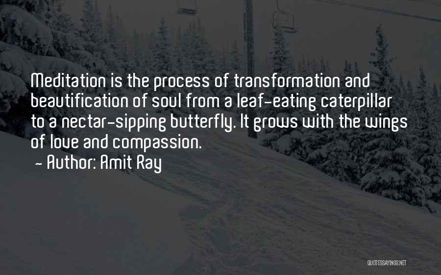 Amit Ray Quotes: Meditation Is The Process Of Transformation And Beautification Of Soul From A Leaf-eating Caterpillar To A Nectar-sipping Butterfly. It Grows