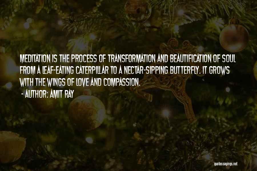 Amit Ray Quotes: Meditation Is The Process Of Transformation And Beautification Of Soul From A Leaf-eating Caterpillar To A Nectar-sipping Butterfly. It Grows