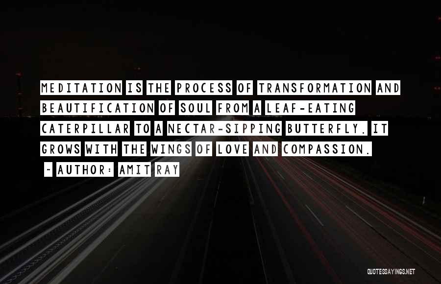 Amit Ray Quotes: Meditation Is The Process Of Transformation And Beautification Of Soul From A Leaf-eating Caterpillar To A Nectar-sipping Butterfly. It Grows