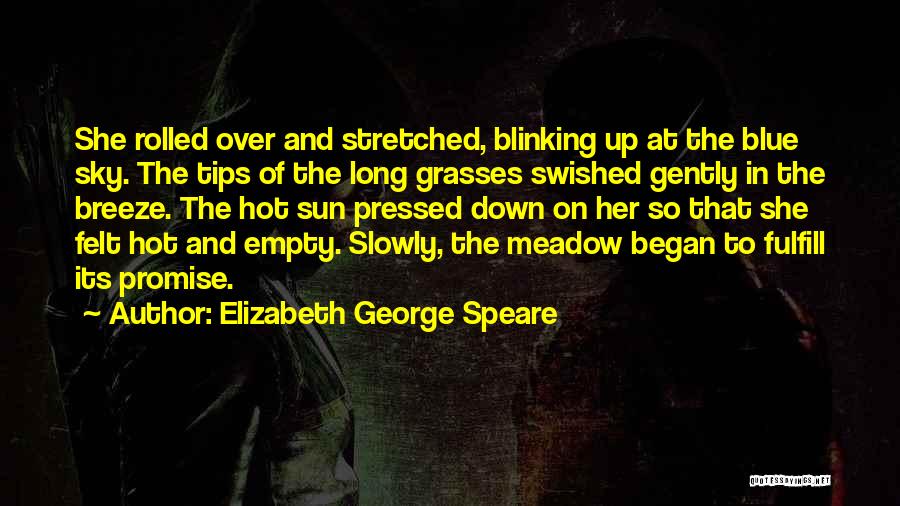 Elizabeth George Speare Quotes: She Rolled Over And Stretched, Blinking Up At The Blue Sky. The Tips Of The Long Grasses Swished Gently In