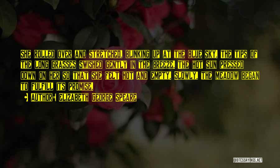 Elizabeth George Speare Quotes: She Rolled Over And Stretched, Blinking Up At The Blue Sky. The Tips Of The Long Grasses Swished Gently In