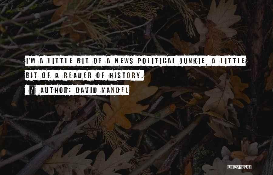 David Mandel Quotes: I'm A Little Bit Of A News Political Junkie, A Little Bit Of A Reader Of History.