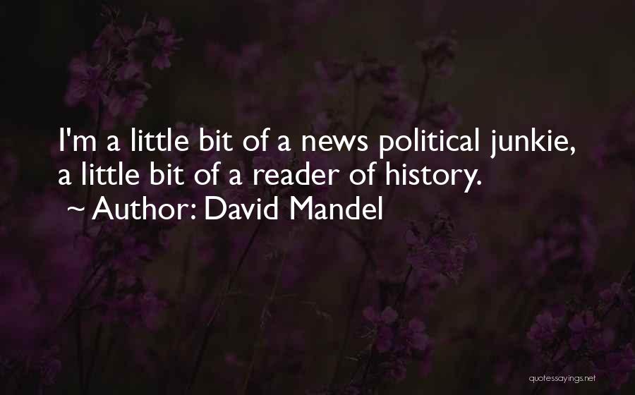 David Mandel Quotes: I'm A Little Bit Of A News Political Junkie, A Little Bit Of A Reader Of History.