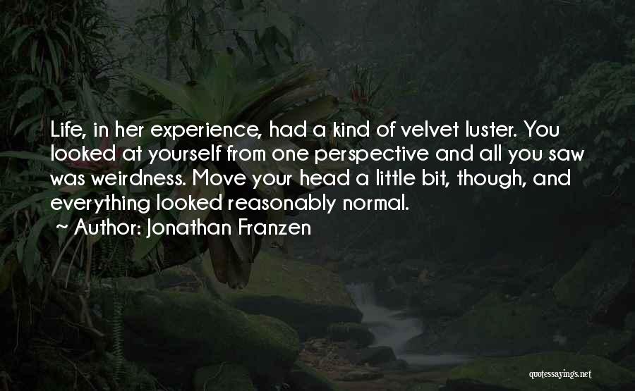 Jonathan Franzen Quotes: Life, In Her Experience, Had A Kind Of Velvet Luster. You Looked At Yourself From One Perspective And All You