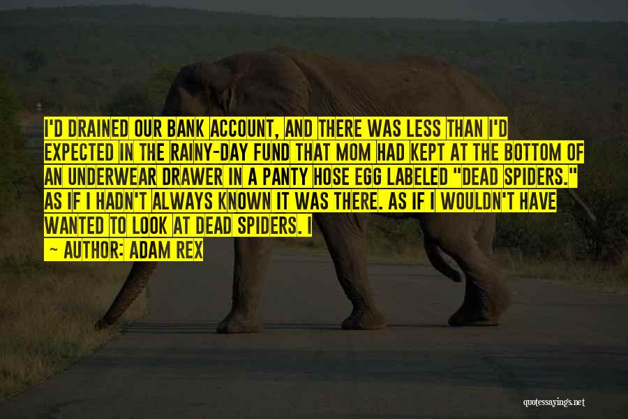 Adam Rex Quotes: I'd Drained Our Bank Account, And There Was Less Than I'd Expected In The Rainy-day Fund That Mom Had Kept