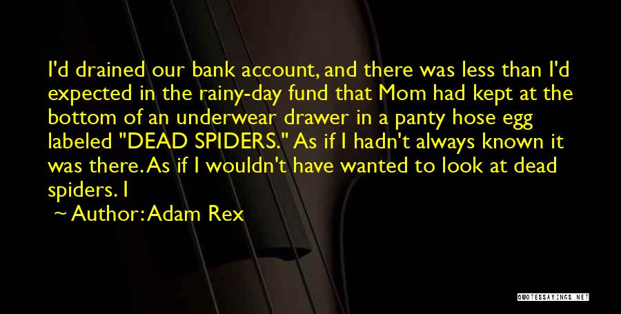 Adam Rex Quotes: I'd Drained Our Bank Account, And There Was Less Than I'd Expected In The Rainy-day Fund That Mom Had Kept