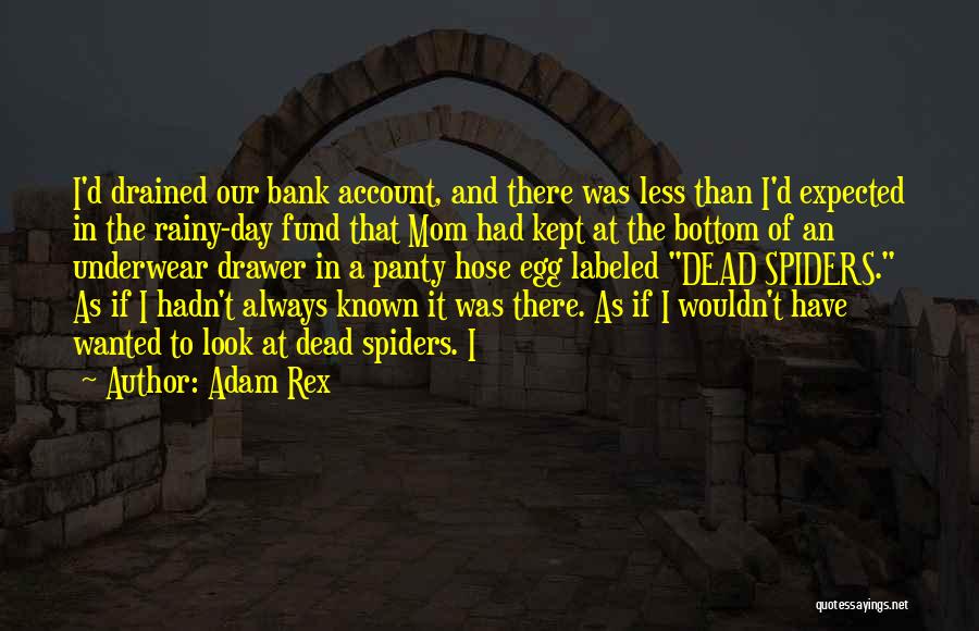 Adam Rex Quotes: I'd Drained Our Bank Account, And There Was Less Than I'd Expected In The Rainy-day Fund That Mom Had Kept