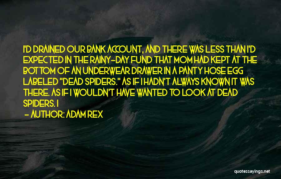 Adam Rex Quotes: I'd Drained Our Bank Account, And There Was Less Than I'd Expected In The Rainy-day Fund That Mom Had Kept