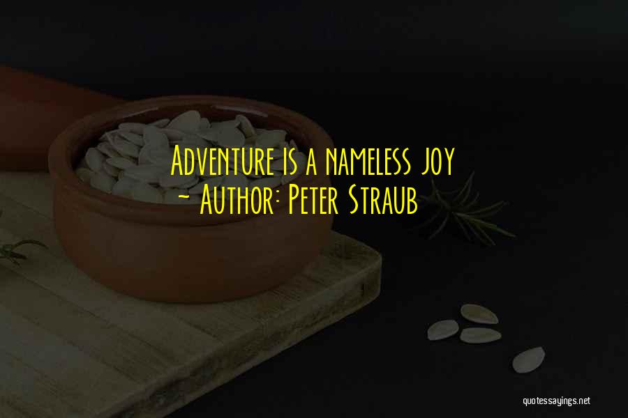 Peter Straub Quotes: Adventure Is A Nameless Joy