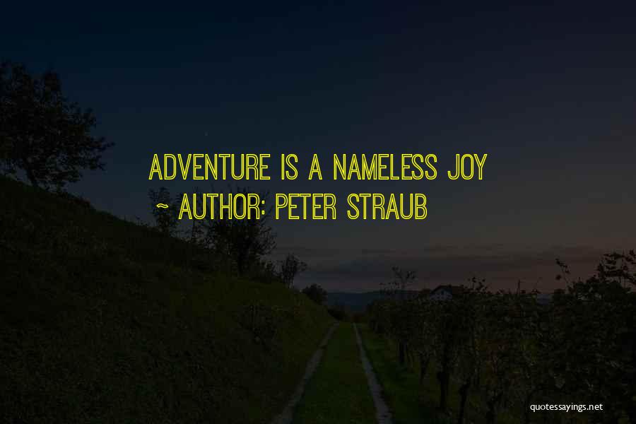 Peter Straub Quotes: Adventure Is A Nameless Joy