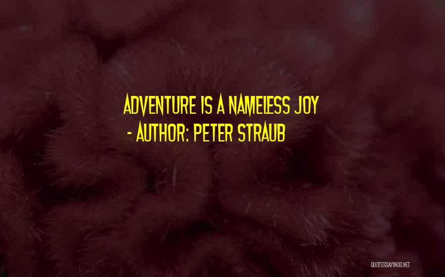 Peter Straub Quotes: Adventure Is A Nameless Joy