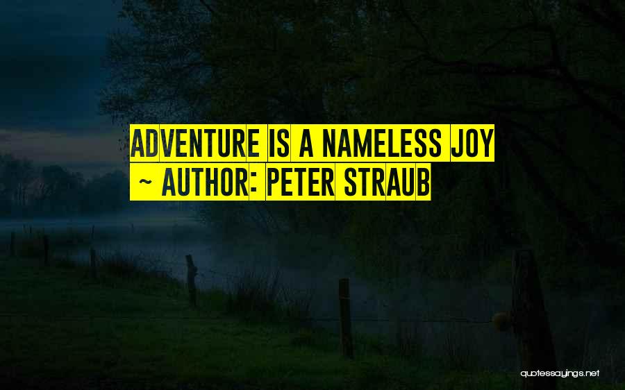 Peter Straub Quotes: Adventure Is A Nameless Joy