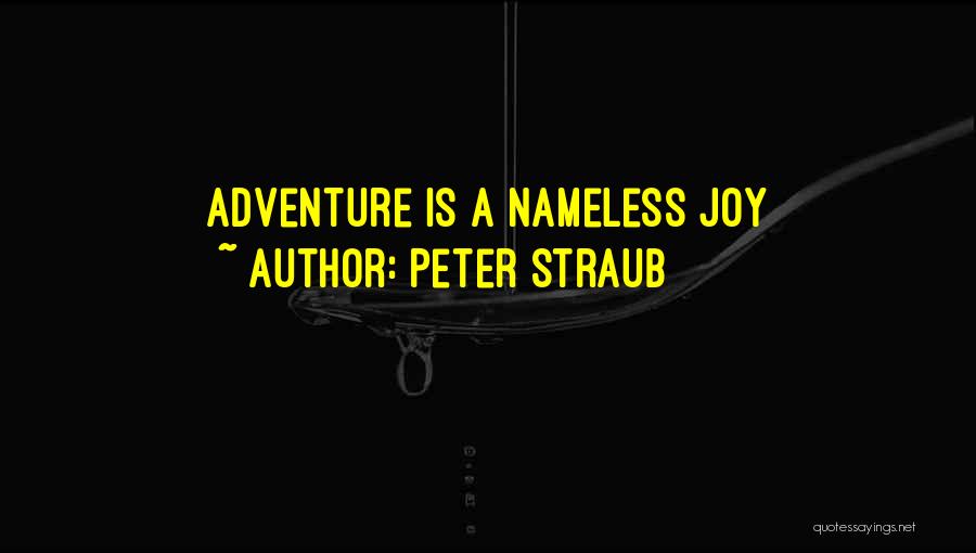 Peter Straub Quotes: Adventure Is A Nameless Joy