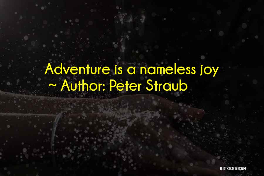 Peter Straub Quotes: Adventure Is A Nameless Joy