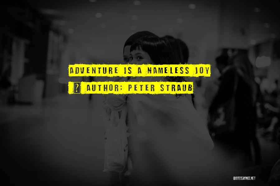 Peter Straub Quotes: Adventure Is A Nameless Joy