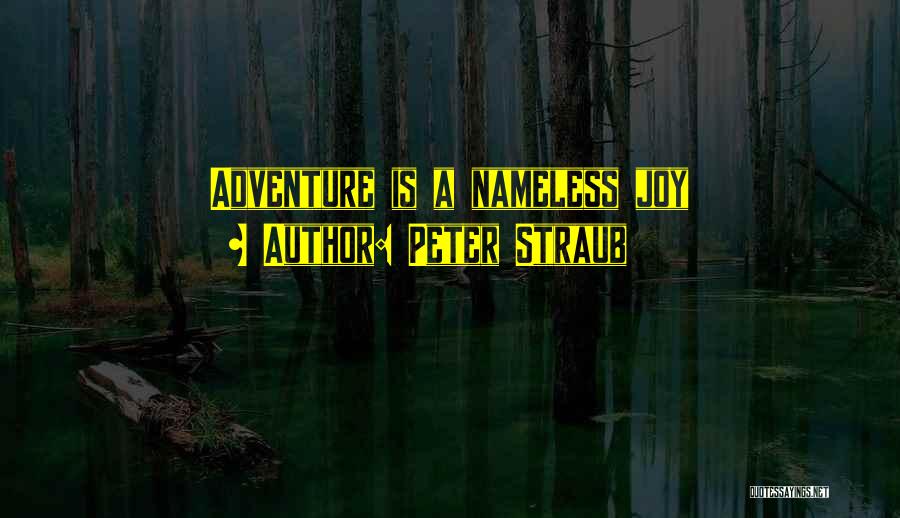 Peter Straub Quotes: Adventure Is A Nameless Joy