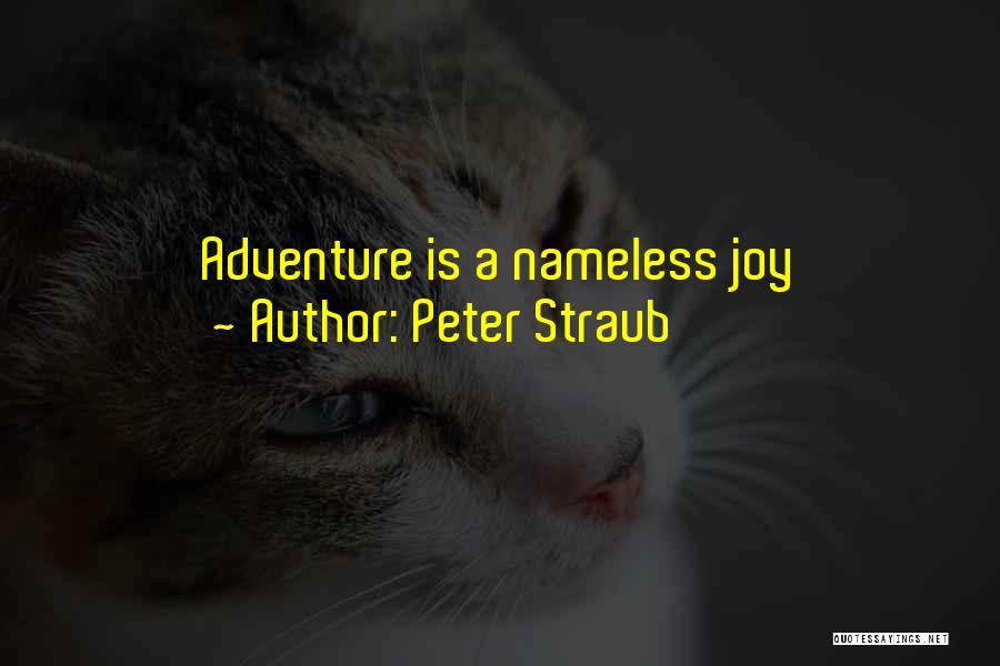 Peter Straub Quotes: Adventure Is A Nameless Joy