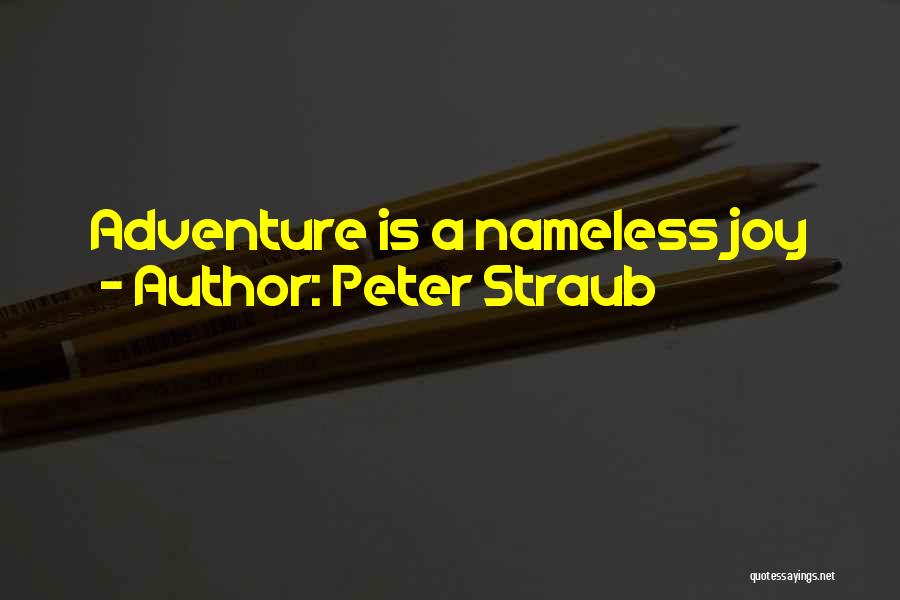 Peter Straub Quotes: Adventure Is A Nameless Joy