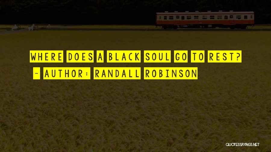 Randall Robinson Quotes: Where Does A Black Soul Go To Rest?