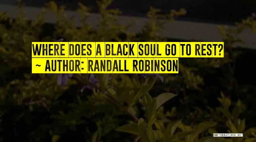 Randall Robinson Quotes: Where Does A Black Soul Go To Rest?
