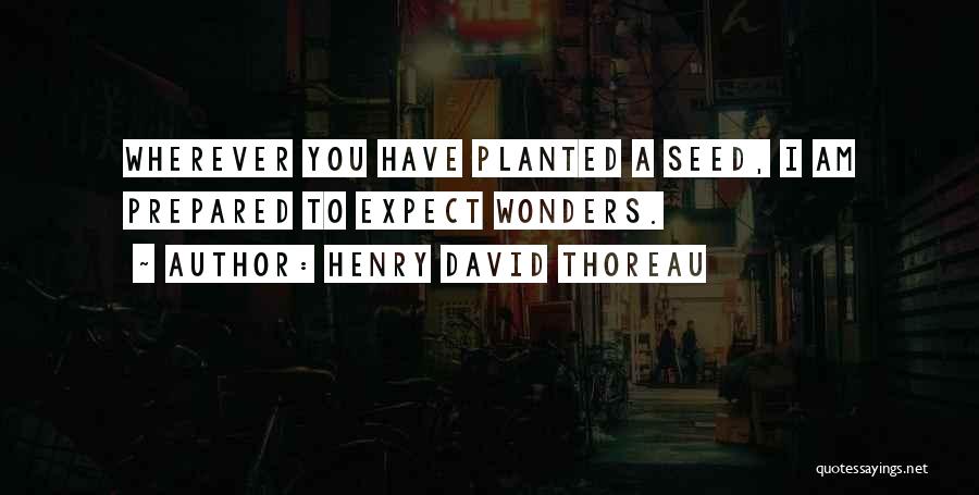 Henry David Thoreau Quotes: Wherever You Have Planted A Seed, I Am Prepared To Expect Wonders.