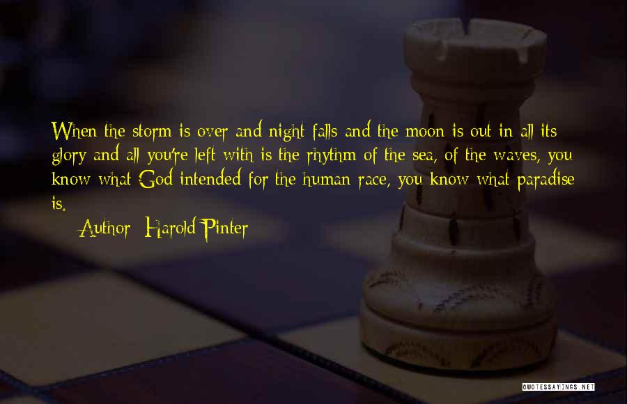 Harold Pinter Quotes: When The Storm Is Over And Night Falls And The Moon Is Out In All Its Glory And All You're