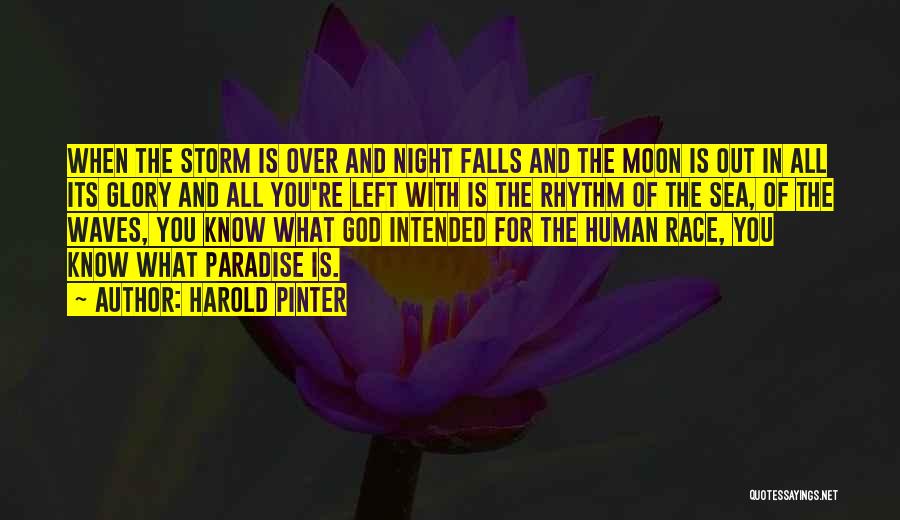 Harold Pinter Quotes: When The Storm Is Over And Night Falls And The Moon Is Out In All Its Glory And All You're