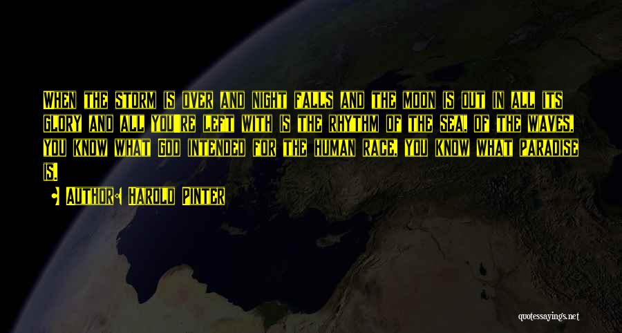 Harold Pinter Quotes: When The Storm Is Over And Night Falls And The Moon Is Out In All Its Glory And All You're